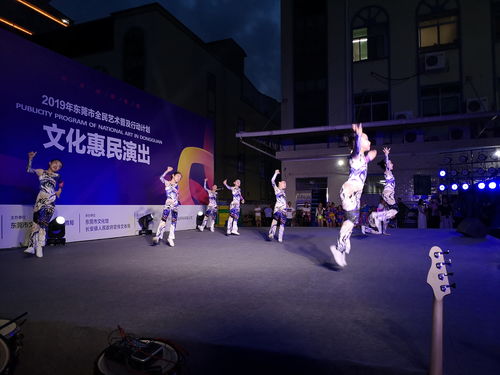 全民藝術(shù)普及行動(dòng)計(jì)劃文化惠民演出走進(jìn)銘?zhàn)┕? class=