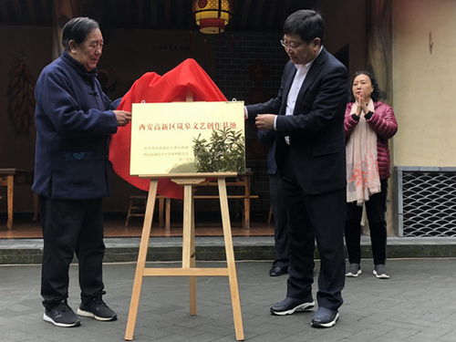 高新區(qū)文藝工作者赴安康嵐皋縣開展文化藝術(shù)交流