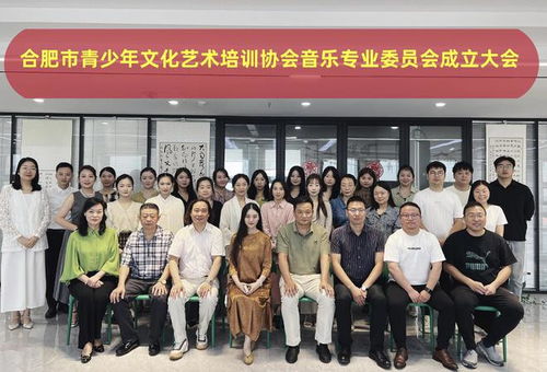合肥市青少年文化藝術(shù)培訓(xùn)協(xié)會(huì)音樂專業(yè)委員會(huì)正式成立